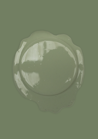 Bibelotte paint Crocodile