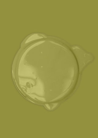 Bibelotte paint Olive