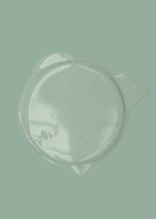 Bibelotte paint Thyme