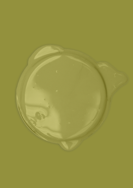 Bibelotte paint Olive